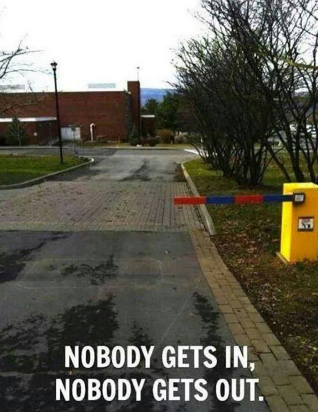 Describe this image
